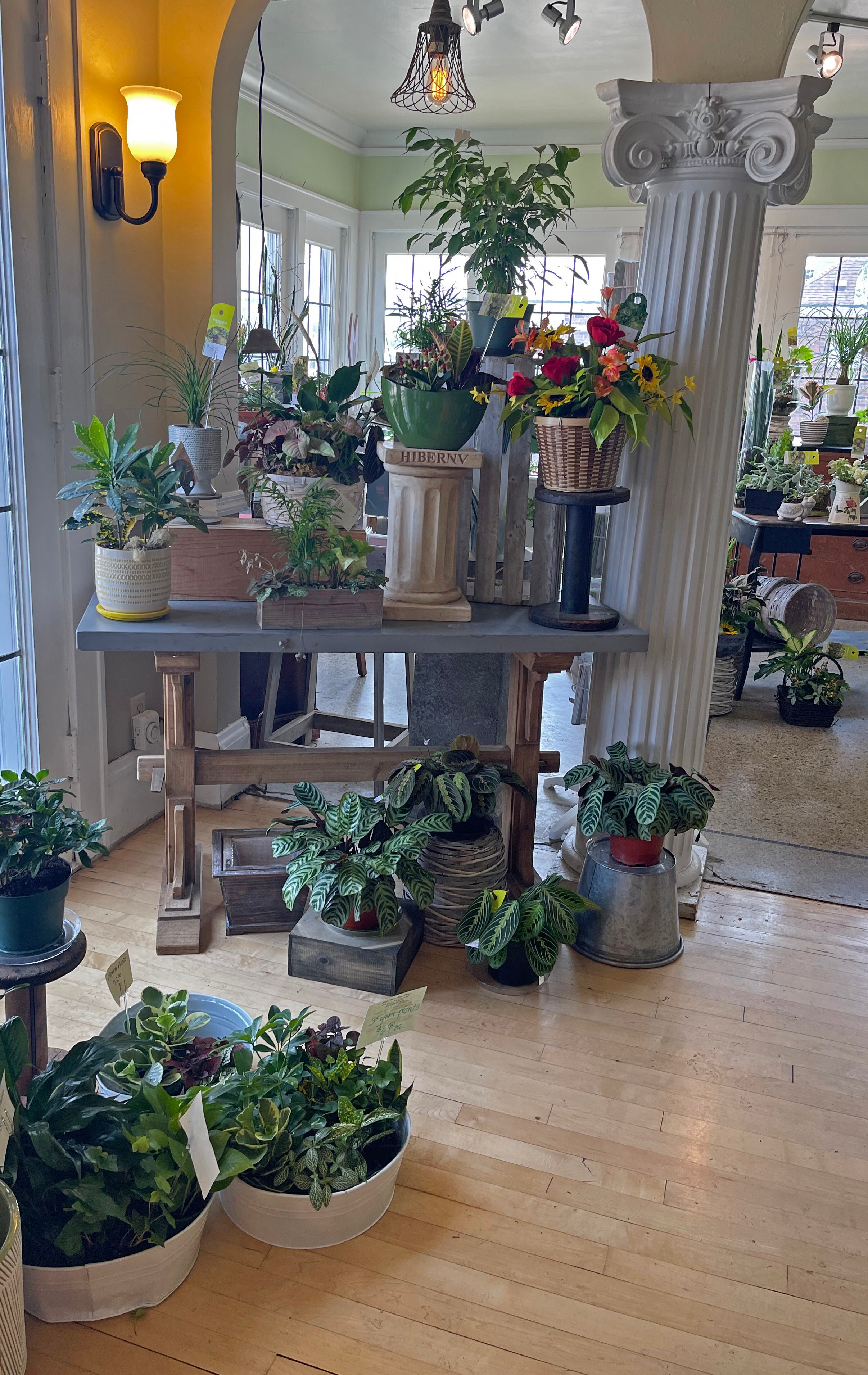 Our Store